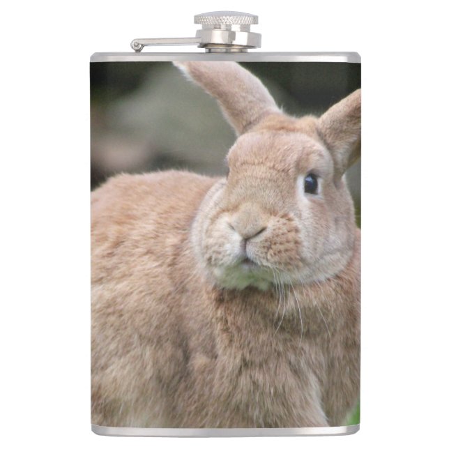 Cute Ginger bunny med stort öron Fickplunta (Framsidan)