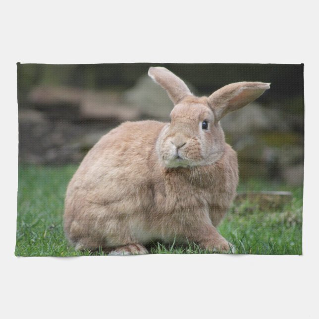 Cute Ginger bunny med stort öron Kökshandduk (Horisontell)