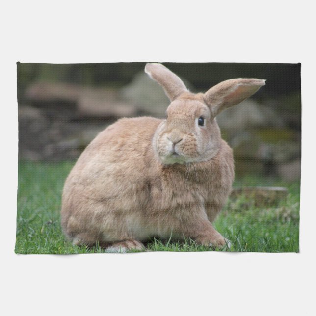 Cute Ginger bunny med stort öron Kökshandduk (Horisontell)