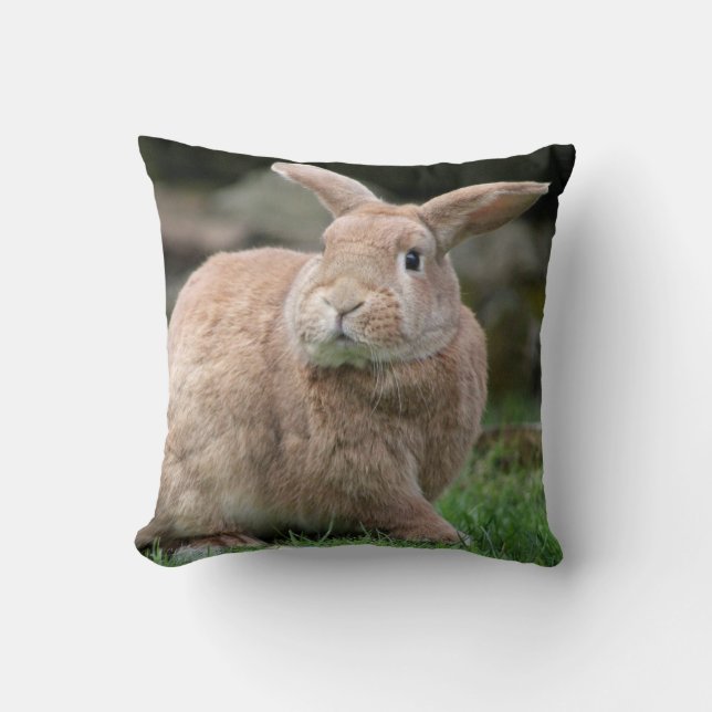 Cute Ginger bunny med stort öron Kudde (Framsida)