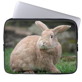 Cute Ginger bunny med stort öron Laptop Fodral