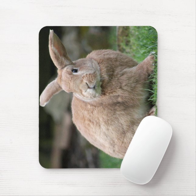 Cute Ginger bunny med stort öron Musmatta (Med mus)