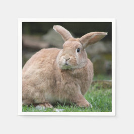 Cute Ginger bunny med stort öron Pappersservett