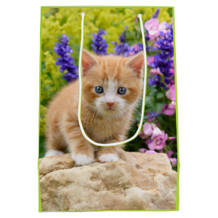 Cute Ginger Cat Kitten Blomsterträdgård presentemb