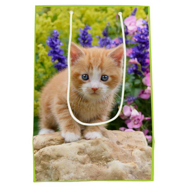 Cute Ginger Cat Kitten Blomsterträdgård presentemb (Baksidan)