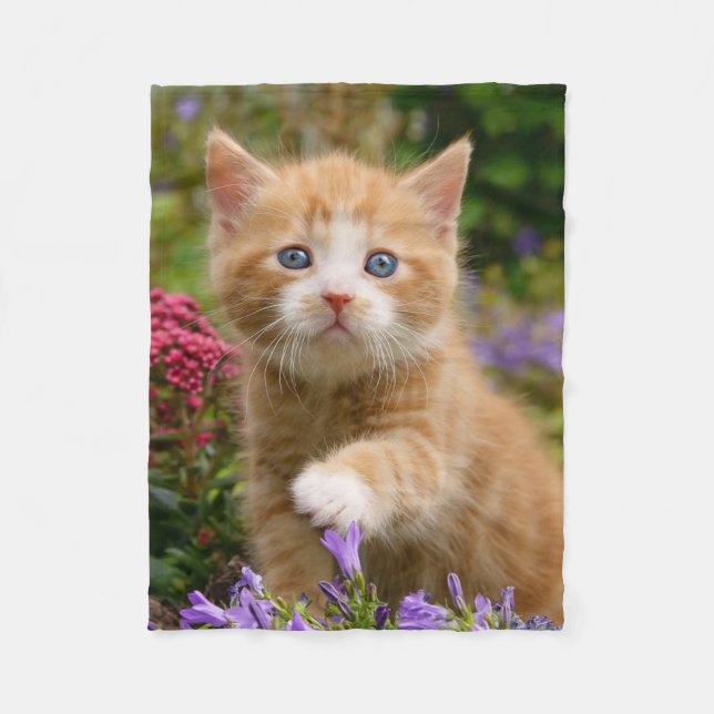 Cute Ginger Cat Kitten i en Garden Photo - mjuk Fleecefilt (Framsidan)