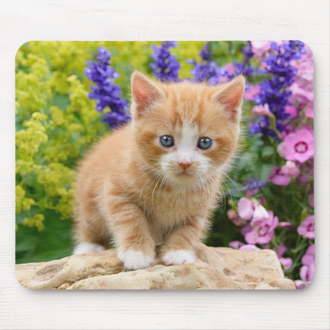 Cute Ginger Cat Kitten i Flowery Garden Porträtt Musmatta (Framsidan)