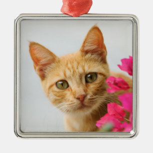 Cute Ginger Cat Kitten tittar på dig med foto - Julgransprydnad Metall
