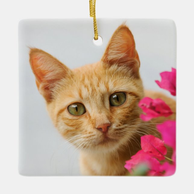 Cute Ginger Cat Kitten tittar på foto - Julgransprydnad Keramik (Framsida)