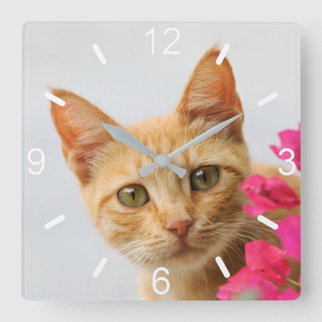 Cute Ginger Cat Kitten Watching Photo - uppringnin Fyrkantig Klocka (Framsida)