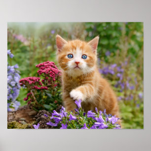 Cute ginger kattad i trädgården med blommor poster