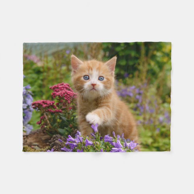 Cute ginger kitten i en trädgård fleecefilt (Framsidan (Horisontell))