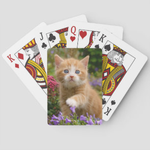 Cute ginger kitten i en trädgård kortlek
