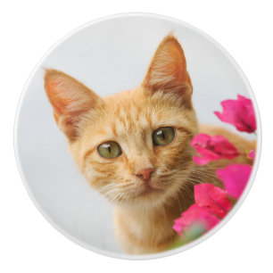 Cute Ginger Kitten vaktar dig, dekorativ Knopp