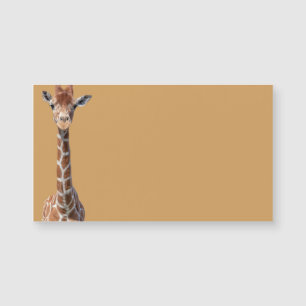 Cute giraffe ansikte