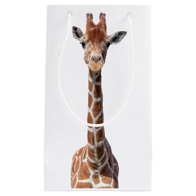 Cute giraffe ansikte (Framsidan)