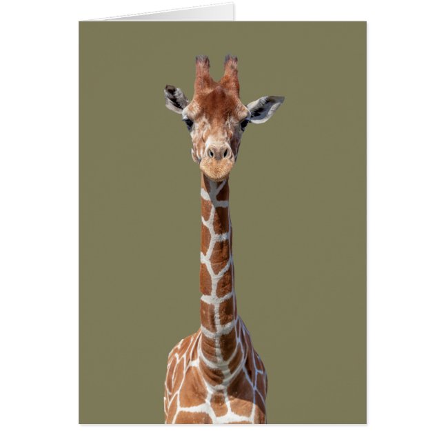 Cute giraffe ansikte OBS kort (Framsidan)