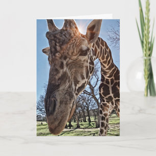 Cute Giraffe-kort för att skicka tankmeddelande Kort