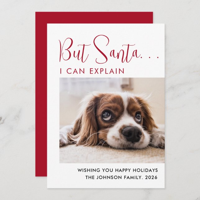 Cute Glad helg Pet Photo Julkort (Fram/baksida)