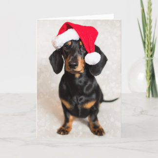 Cute Gnistra Dachshund Puppy med julklapp Helgkort