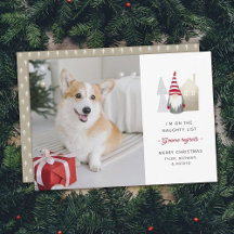 Cute Gnome beklagar | Pet-julfoto