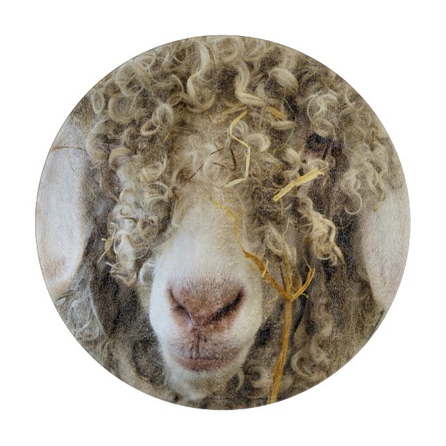 CUTE GOAT (Framsidan)