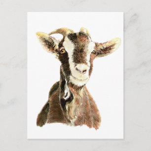 Cute Goat, Animal, Farm Pet Vykort