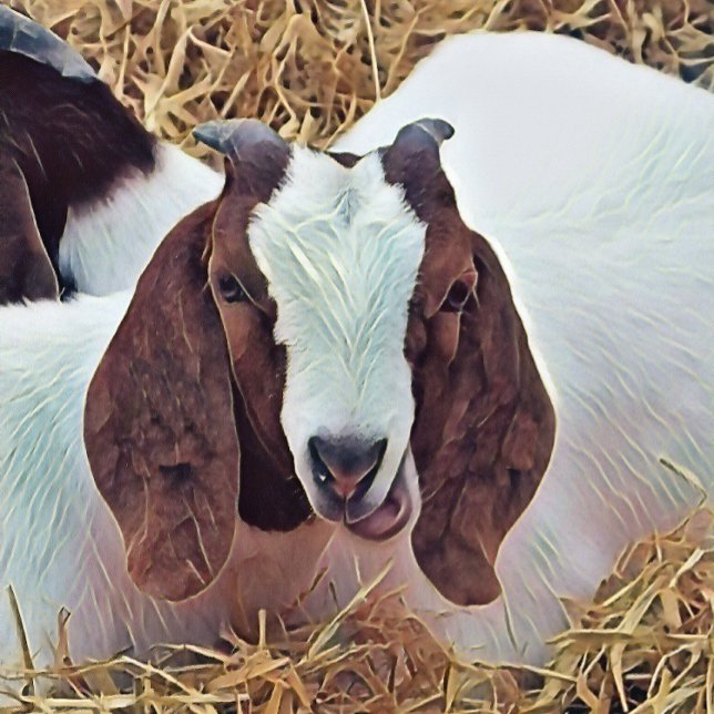 CUTE GOAT ANTECKNINGSBOK (An art design of a cute Boer Goat. The breed originating from South Africa.)