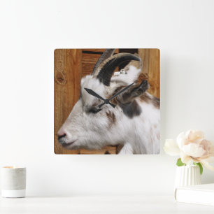 CUTE GOAT FYRKANTIG KLOCKA