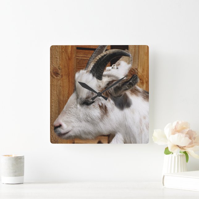 CUTE GOAT FYRKANTIG KLOCKA (Hem)
