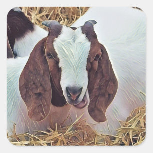 CUTE GOAT FYRKANTIGT KLISTERMÄRKE