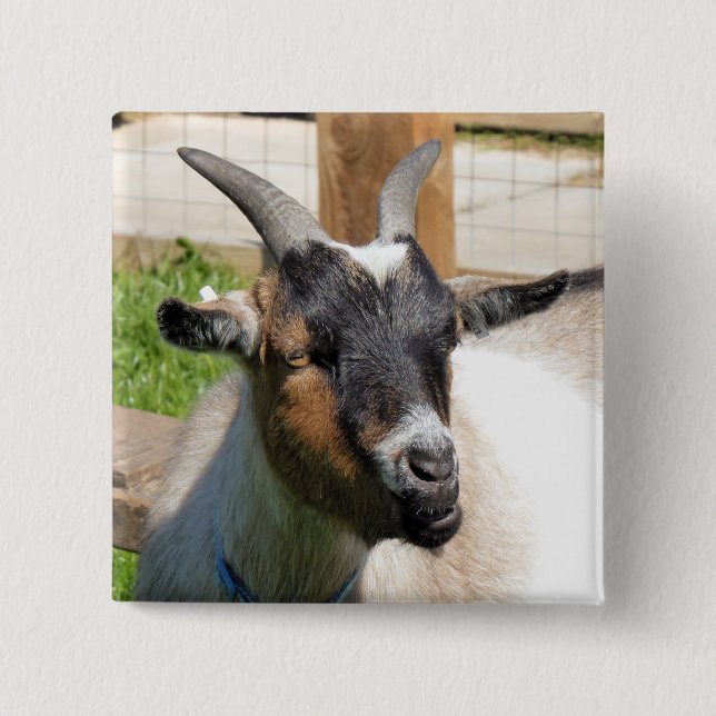CUTE GOAT KNAPP (Framsida)