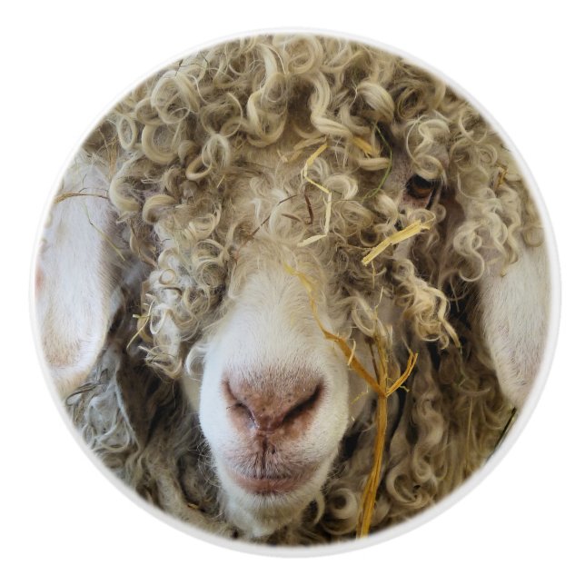 CUTE GOAT KNOPP (Framsidan)