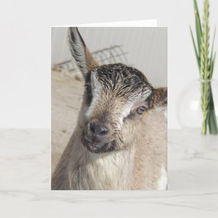 Cute Goat Kort