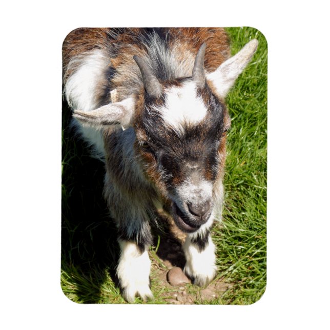 CUTE GOAT MAGNET (Vertikal)