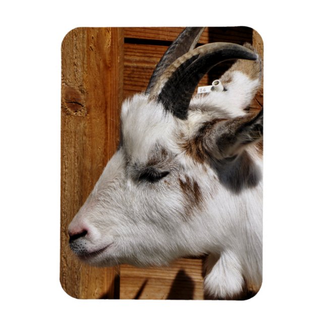 CUTE GOAT MAGNET (Vertikal)