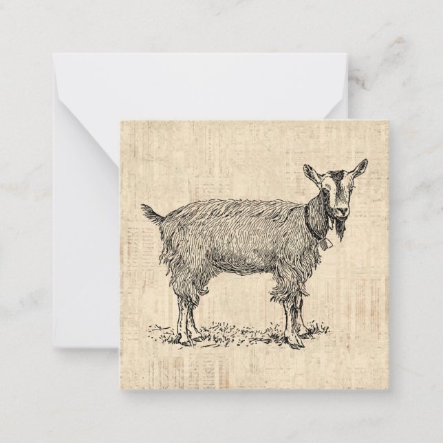 Cute Goat med Bell Illustration Antique Script Anteckningskort (Framsida)