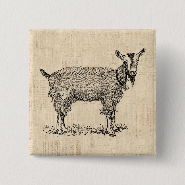 Cute Goat med Bell Illustration Antique-skript Knapp (Framsida)