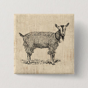 Cute Goat med Bell Illustration Antique-skript Knapp