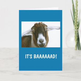 Cute Goat "Miss you"! Kort