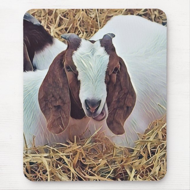 CUTE GOAT MUSMATTA (Framsidan)