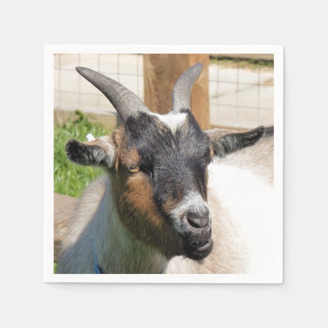 CUTE GOAT PAPPERSSERVETT (Framsidan)