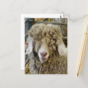 CUTE GOAT VYKORT