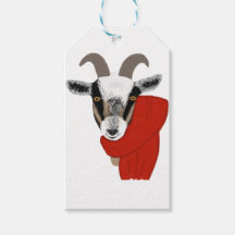 Cute Goat Wearing a Scarf