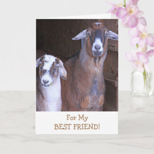 Cute Goats Best Friend Birthday Kort