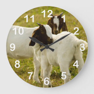 Cute Goats Boer Snuggling Animals Stor Klocka