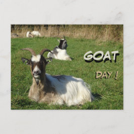 Cute Goats Cust. Vykort för radbyte