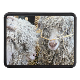 CUTE GOATS DRAGKROKSSKYDD