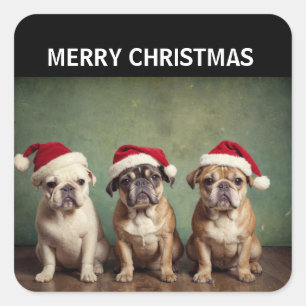 Cute God jul hundar Fyrkantigt Klistermärke