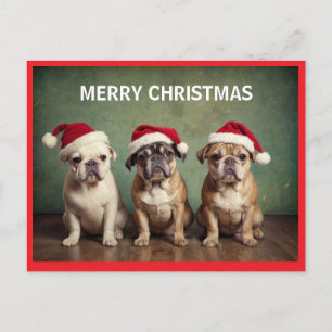 Cute God jul hundar Helg Vykort